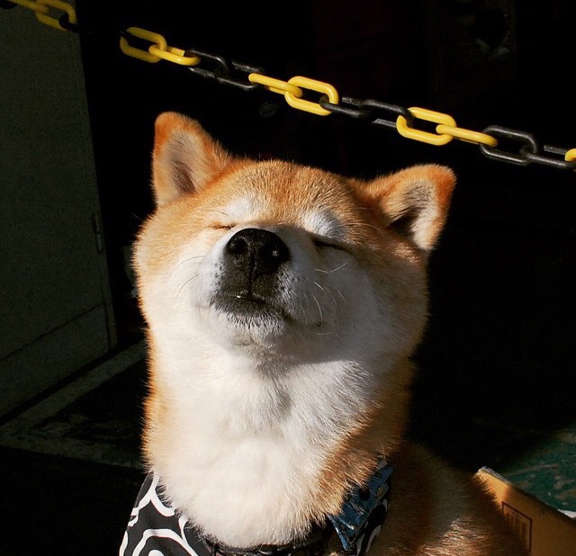 日本球员突破防线屡获佳绩,日本 球员