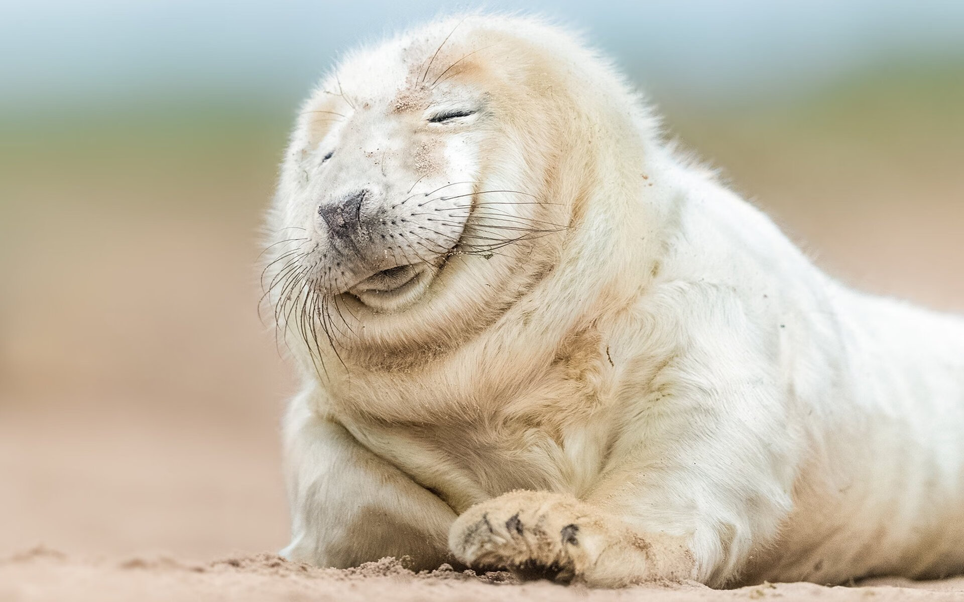 灰熊队外线火力不足,持续寻求补强,灰熊队内线