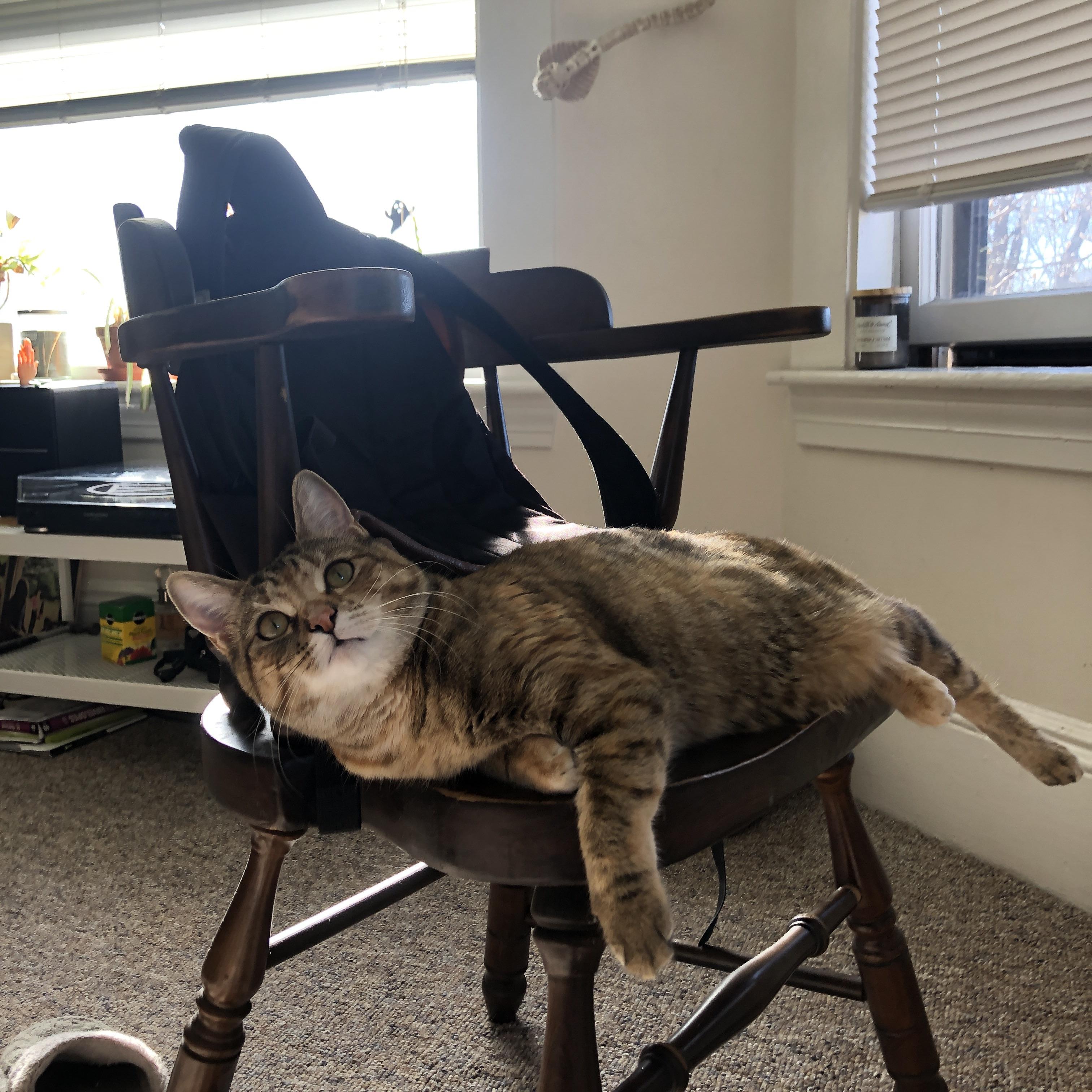 九游下载安装-里昂中场大将伤愈复出，球队期待他的回归，里昂中场三杰是哪三个