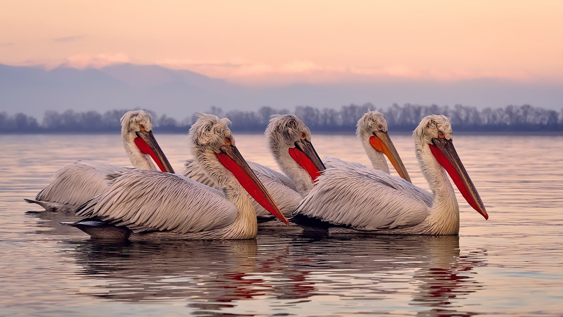 体育教学辅助设备创新应用研究,体育教学辅助设备创新应用研究方向