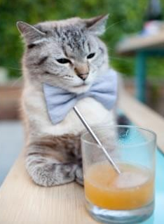 法甲球队通过大数据优化边路突破战术,法甲边锋