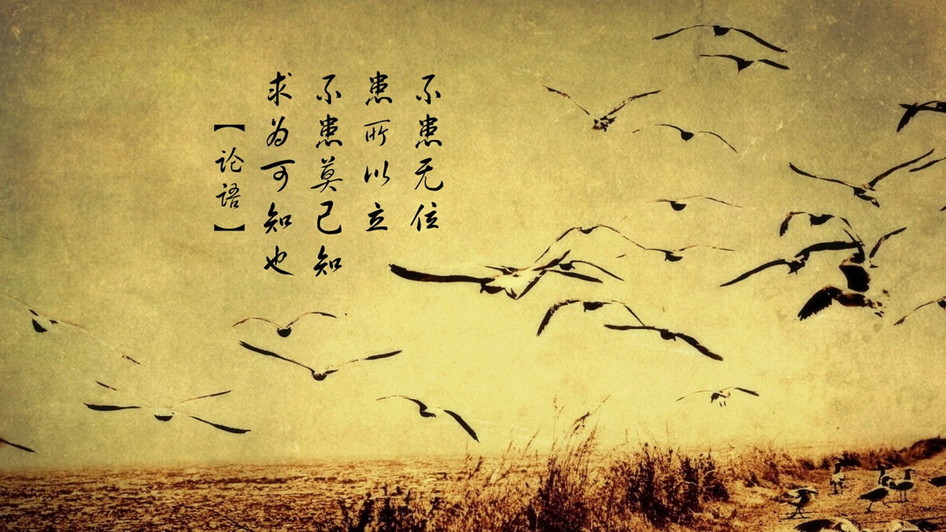 “费尔南多·比亚尔巴:阿根廷橄榄球的技艺与智慧的结合体”