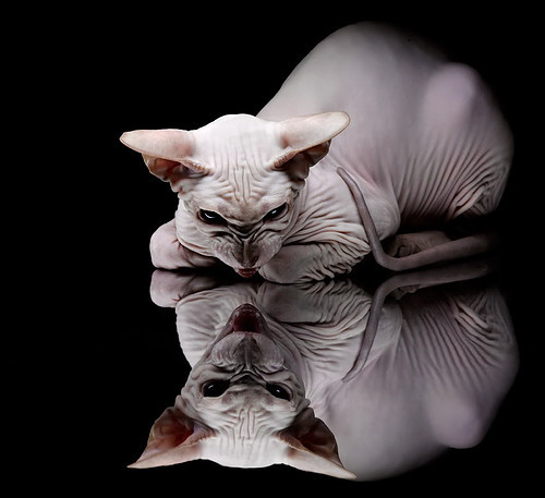 九游下载安装-英超终极冲刺：激情澎湃，精彩不止！，英超精华集锦2021