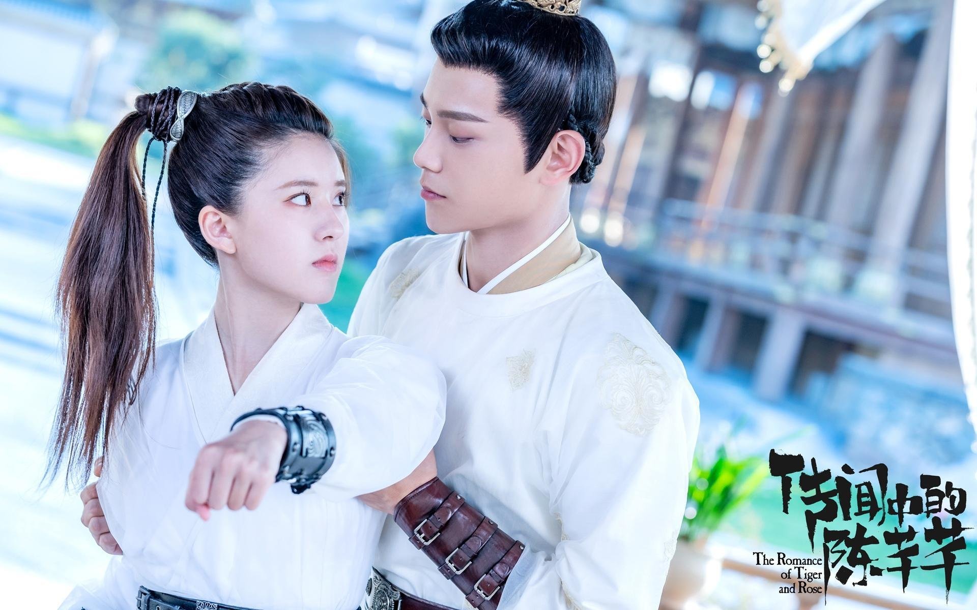 荷兰队在欧洲预赛中表现优异，晋级希望提升